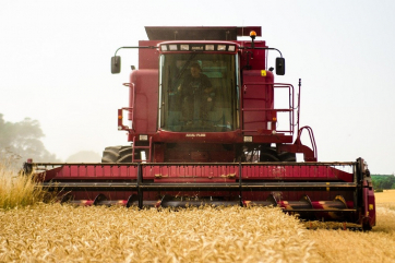 Эксперты усомнились в прогнозе МСХ США на урожай пшеницы в России